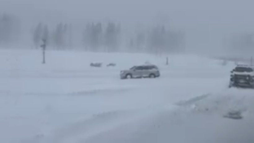 ABD'de tura &ccedil;ıkan kayak&ccedil;ıların &uuml;st&uuml;ne &ccedil;ığ d&uuml;şt&uuml;: 10 kişiyi kurtarmaya &ccedil;alışıyorlar - Resim : 1