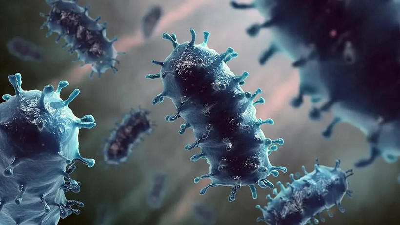 İstanbul’da kuduz riski sebebiyle tedbir amaçlı 123 bin kişi sağlık kuruluşlarına başvurdu - Resim: 7