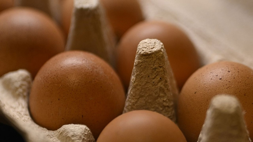 Yumurta sarısı aklandı: Yeni araştırmalar ezberi bozdu - Resim: 5