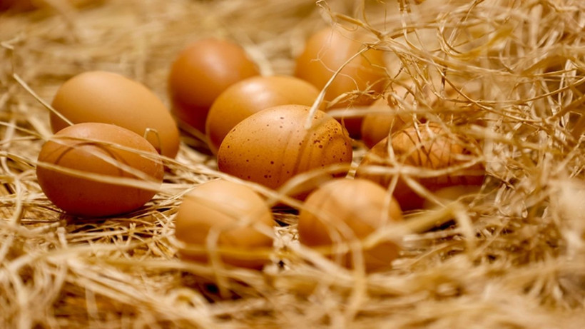 Yumurta sarısı aklandı: Yeni araştırmalar ezberi bozdu - Resim: 7