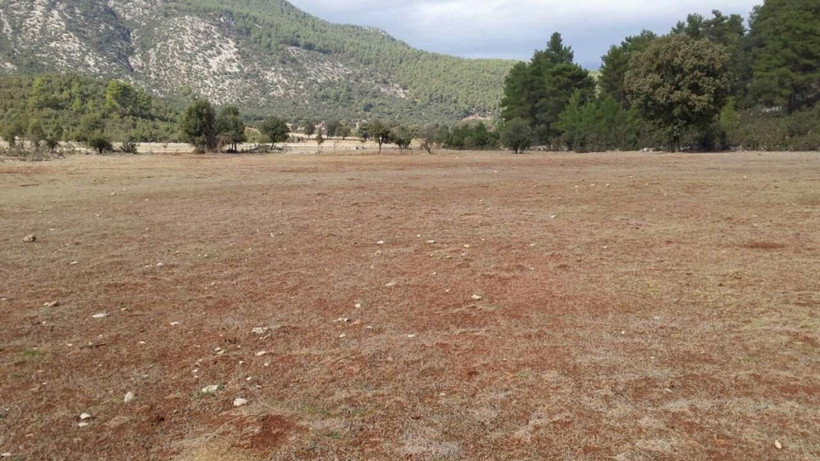 Toprağa hücum başladı: Arazi fiyatlarının en çok arttığı 15 il belli oldu - Resim: 16