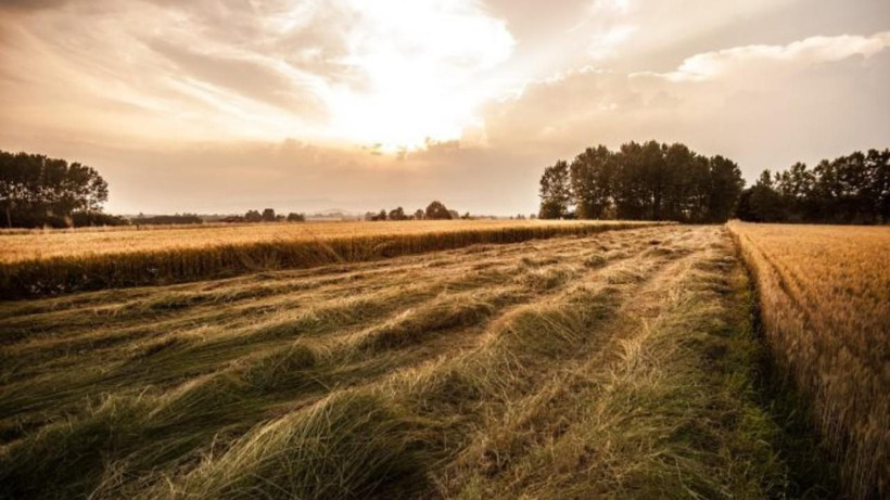 Toprağa hücum başladı: Arazi fiyatlarının en çok arttığı 15 il belli oldu - Resim: 4