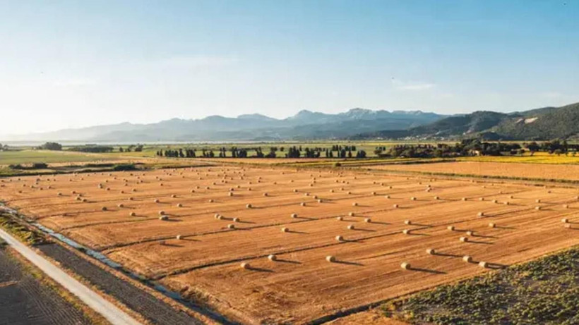 Toprağa hücum başladı: Arazi fiyatlarının en çok arttığı 15 il belli oldu - Resim: 1