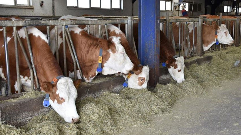 Kocaeli’de iflas kararı: Alacaklılara bir aylık süre - Resim: 2