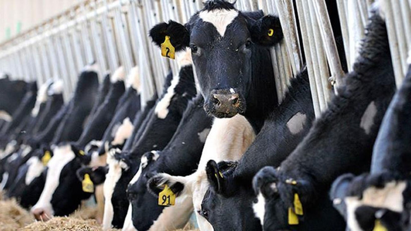 Kocaeli’de iflas kararı: Alacaklılara bir aylık süre - Resim: 3