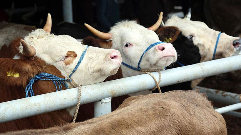 Kocaeli’de iflas kararı: Alacaklılara bir aylık süre - Resim: 7