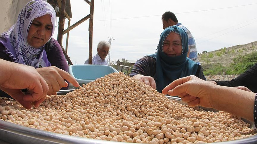 Leblebi gerçekten kilo yapar mı? Diyetin dostu mu, düşmanı mı? - Resim: 13