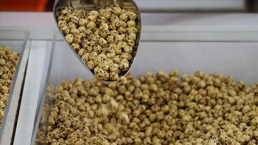 Leblebi gerçekten kilo yapar mı? Diyetin dostu mu, düşmanı mı? - Resim: 3