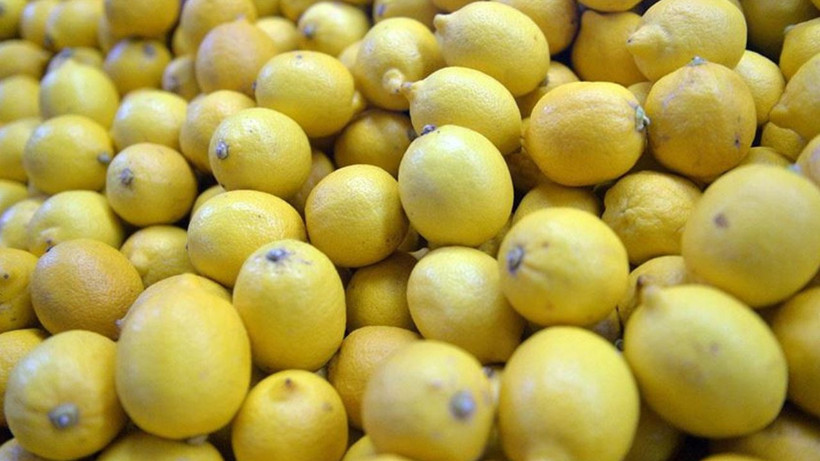 Dikenli limonda fiyat şoku: Kilosu 60 liraya dayandı - Resim: 5
