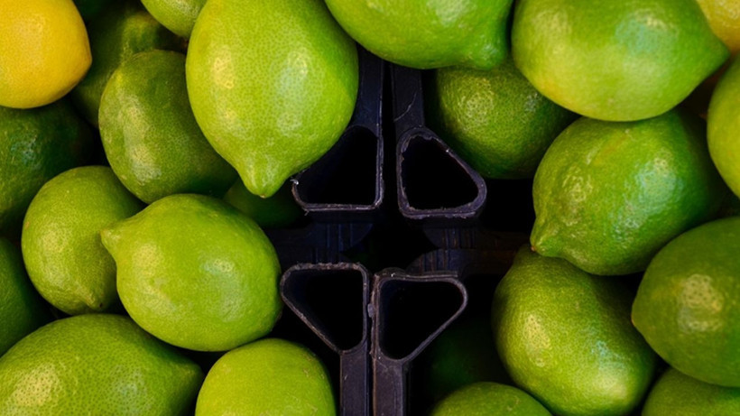 Dikenli limonda fiyat şoku: Kilosu 60 liraya dayandı - Resim: 7