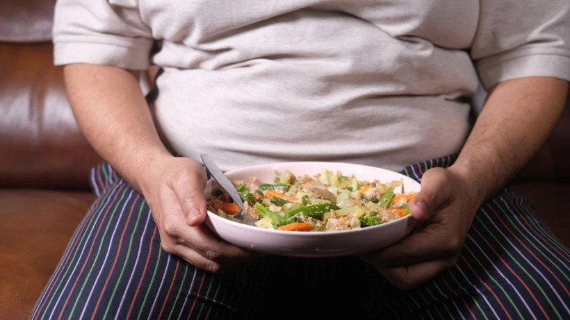 Obeziteye karşı dev adım: 10 milyona ücretsiz diyetisyen - Resim: 10