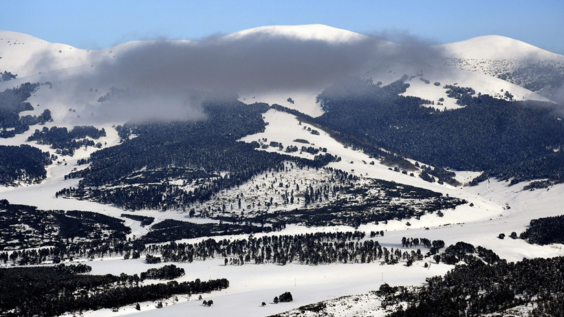 Kars’ın sarıçam ormanları beyaza büründü - Resim : 1