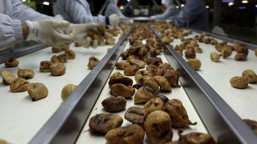 Kuru incir sınırdan döndü: Sakın mutfağınıza yaklaştırmayın - Resim: 7