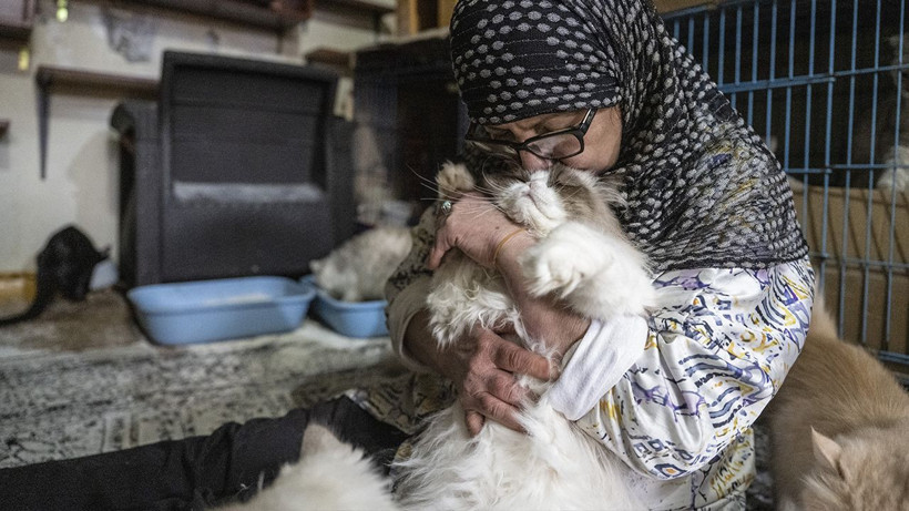Savaşın ortasında insanlık dersi: 40 kedisiyle kaçmak zorunda kaldı - Resim: 3
