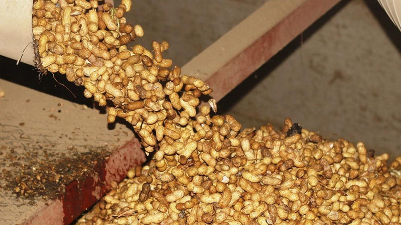 Fıstık kabuğundan yüksek teknoloji: Atıklar grafene dönüşüyor - Resim: 3