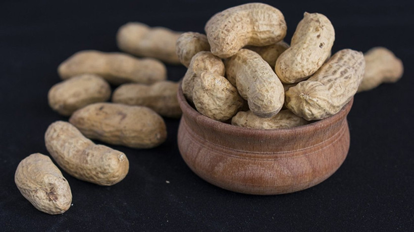 Fıstık kabuğundan yüksek teknoloji: Atıklar grafene dönüşüyor - Resim: 4