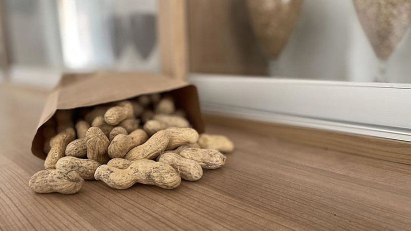 Fıstık kabuğundan yüksek teknoloji: Atıklar grafene dönüşüyor - Resim: 6