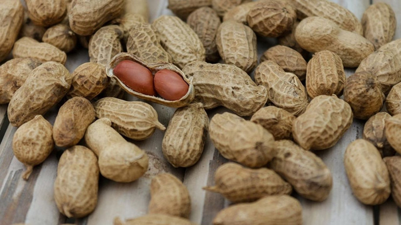 Fıstık kabuğundan yüksek teknoloji: Atıklar grafene dönüşüyor - Resim: 8