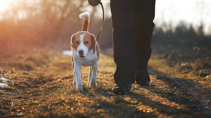 Zengin semtine kapak attı ayda 150 bin lira kazanıyor: İş çok basit… - Resim: 1