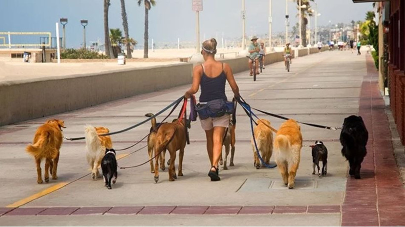 Zengin semtine kapak attı ayda 150 bin lira kazanıyor: İş çok basit… - Resim: 6