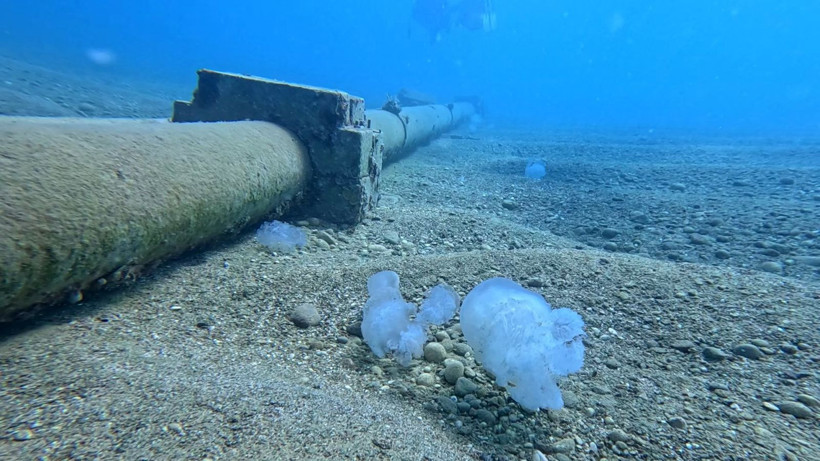 "Gördüğünüz yerde rotanızı değiştirin”: Akdeniz’in en büyüğü: Dokunduğu an yakıyor - Resim: 6