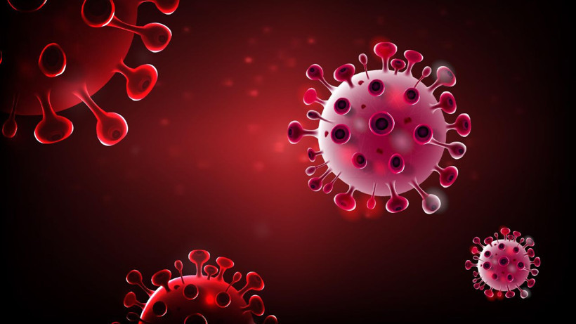 Cicada varyantı hızla yayılıyor: Yeni pandemi riski var mı? - Resim: 9