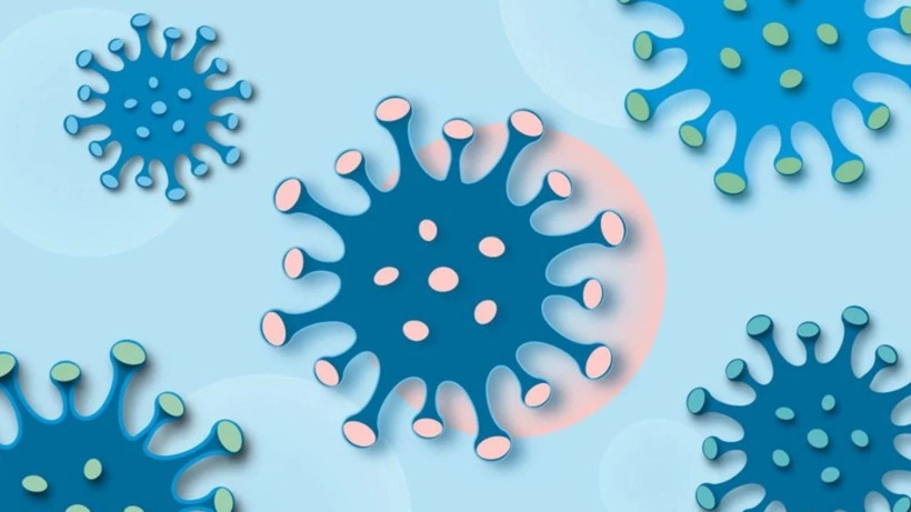 Cicada varyantı hızla yayılıyor: Yeni pandemi riski var mı? - Resim: 8