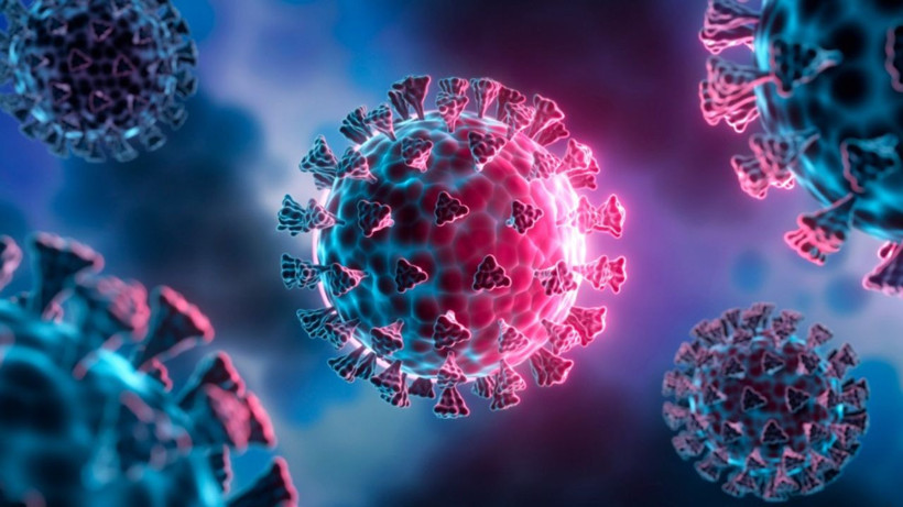 Cicada varyantı hızla yayılıyor: Yeni pandemi riski var mı? - Resim: 2