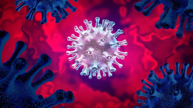 Cicada varyantı hızla yayılıyor: Yeni pandemi riski var mı? - Resim: 5