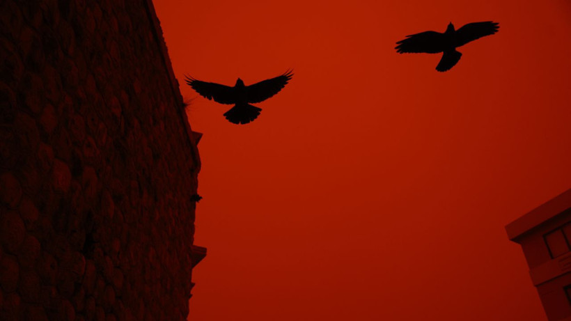 Afrika'dan geldi Yunanistan'ı kızıla boyadı - Resim: 6