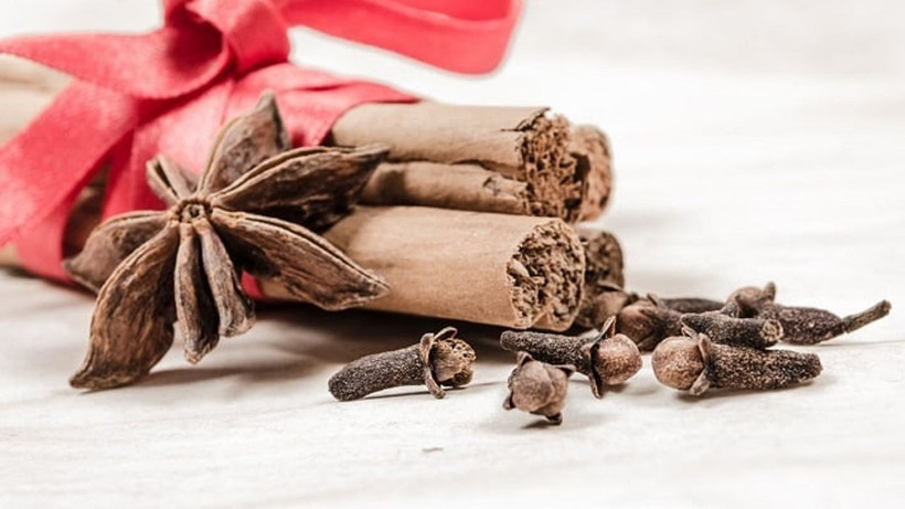 Osmanlı mutfağının efsanevi baharatı Dar-ı Çin: Lezzet ve şifanın asırlık mirası - Resim: 25