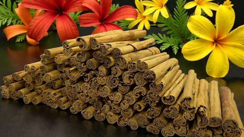 Osmanlı mutfağının efsanevi baharatı Dar-ı Çin: Lezzet ve şifanın asırlık mirası - Resim: 6