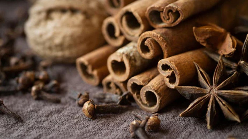 Osmanlı mutfağının efsanevi baharatı Dar-ı Çin: Lezzet ve şifanın asırlık mirası - Resim: 12