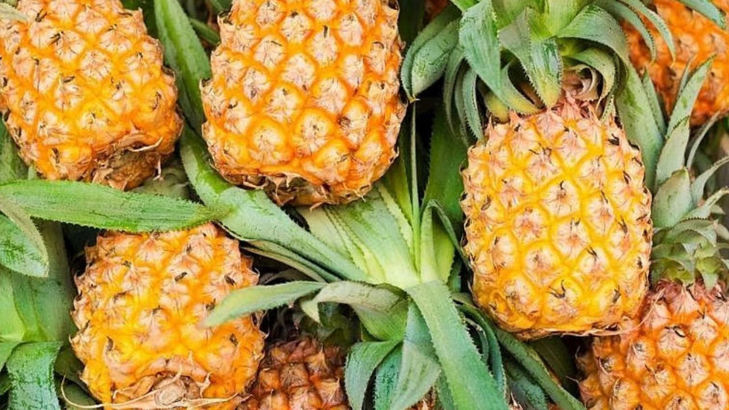 Ananas tüketirken dikkat: Göründüğü kadar masum olmayabilir mi? - Resim: 7