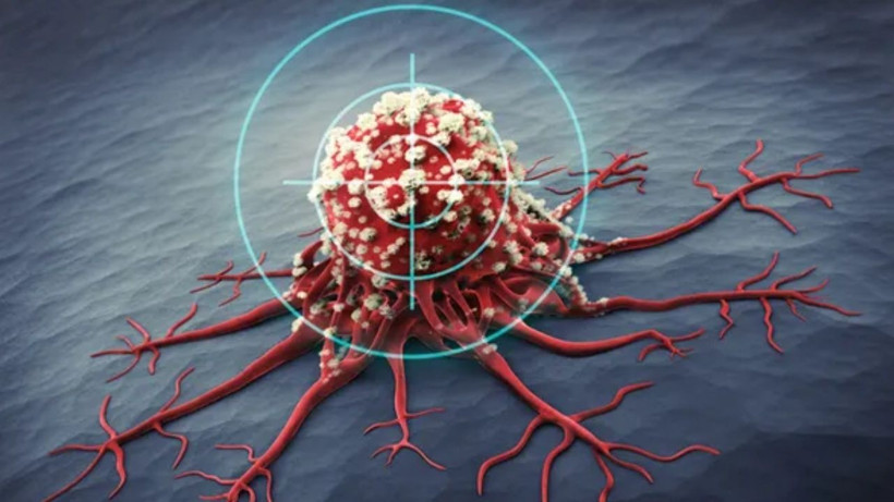 Kanser hastaları için ekonomik ve güçlü destek: 6 kaşık lor peyniri - Resim: 7
