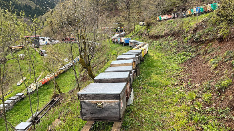 Artvin'de apiturizmin potansiyeli çok yüksek - Resim: 6