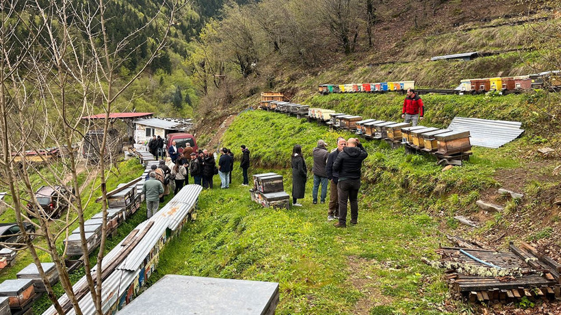Artvin'de apiturizmin potansiyeli çok yüksek - Resim: 5