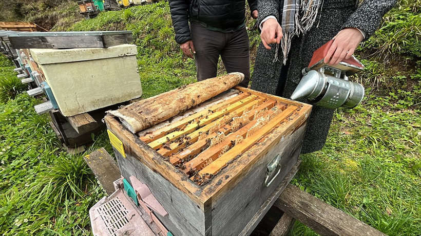 Artvin'de apiturizmin potansiyeli çok yüksek - Resim: 3
