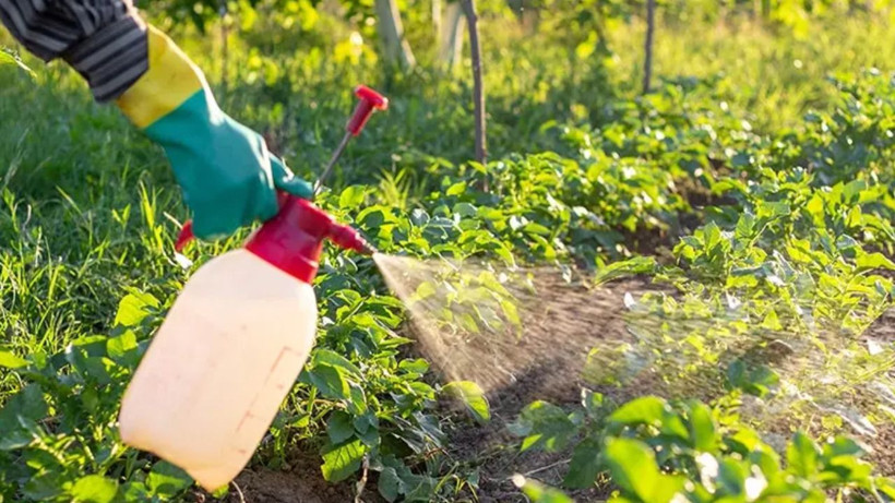 En çok kimyasal içeren sebze ve meyve belli oldu: Şifa mı zehir mi? - Resim: 2