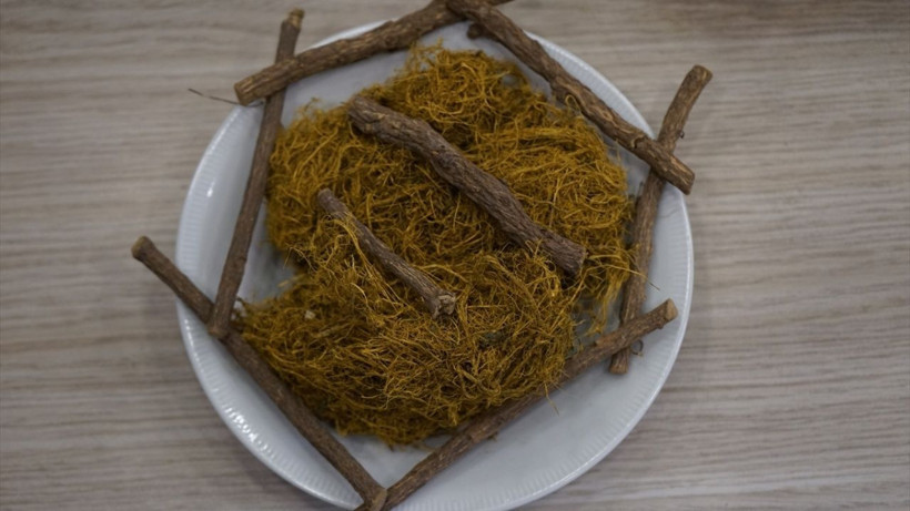 Doğanın nefes aldıran mirası: Solunum dostu meyan kökü - Resim: 6