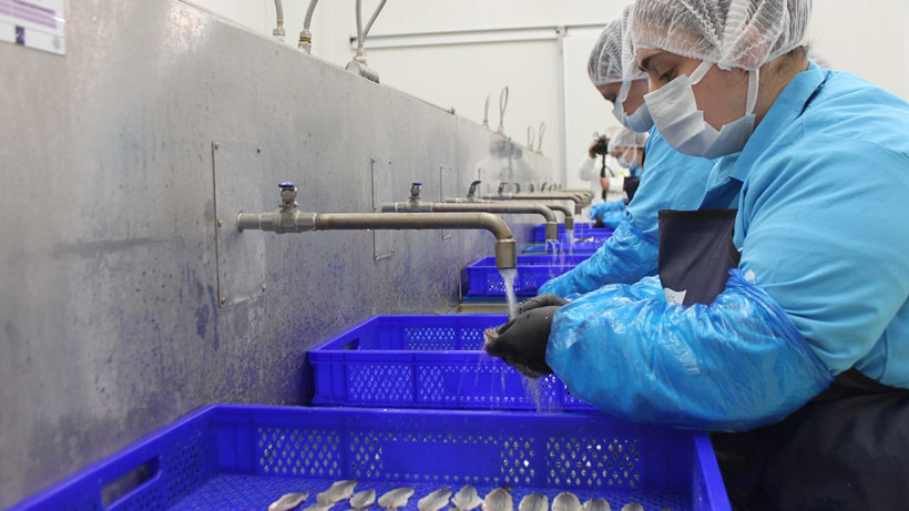 Sinop lakerdası, kadınların elinde marka olma yolunda - Resim: 14