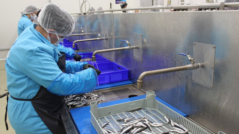 Sinop lakerdası, kadınların elinde marka olma yolunda - Resim: 17