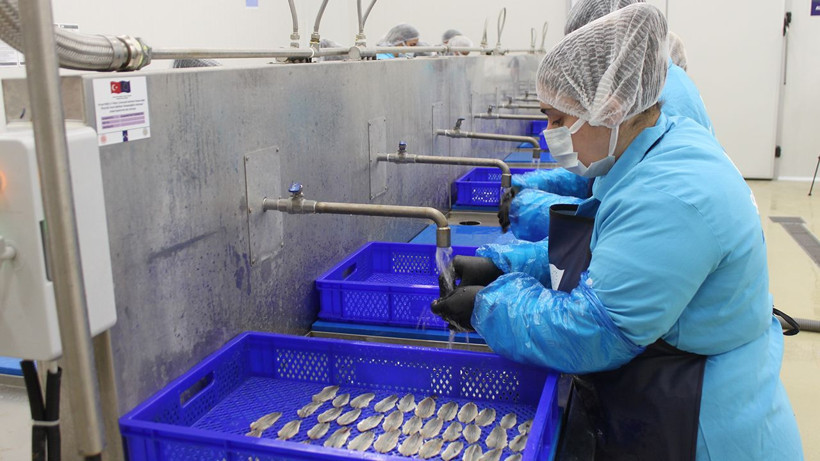 Sinop lakerdası, kadınların elinde marka olma yolunda - Resim: 16