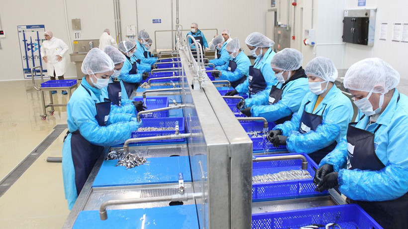 Sinop lakerdası, kadınların elinde marka olma yolunda - Resim: 1