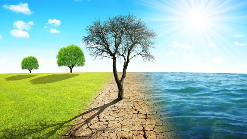 COP31'e su ve gıda krizi damga vuracak: Üst düzey toplantıya ev sahipliği Türkiye'den - Resim: 8