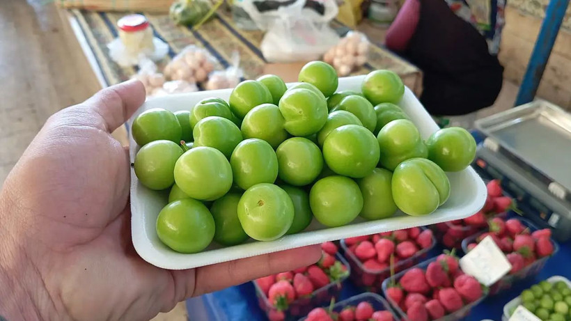 Altın değerinde hasat başladı: Erik fiyatları ne kadar oldu? - Resim: 3