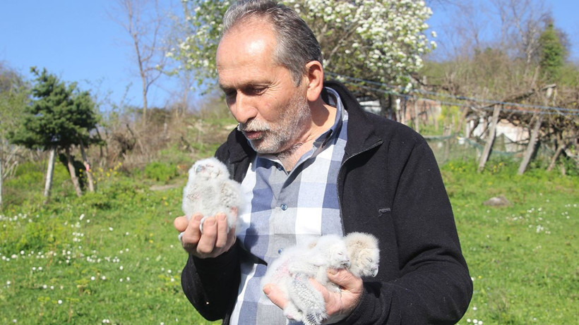 20 yıldır kapısını tek bir misafir için açıyor: "Uğursuz" diyenlere inat o isimleri koydu - Resim: 5