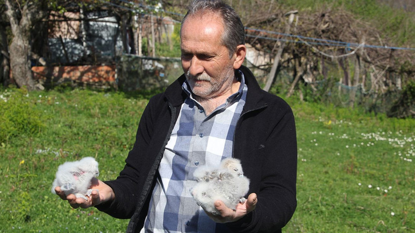 20 yıldır kapısını tek bir misafir için açıyor: "Uğursuz" diyenlere inat o isimleri koydu - Resim: 4