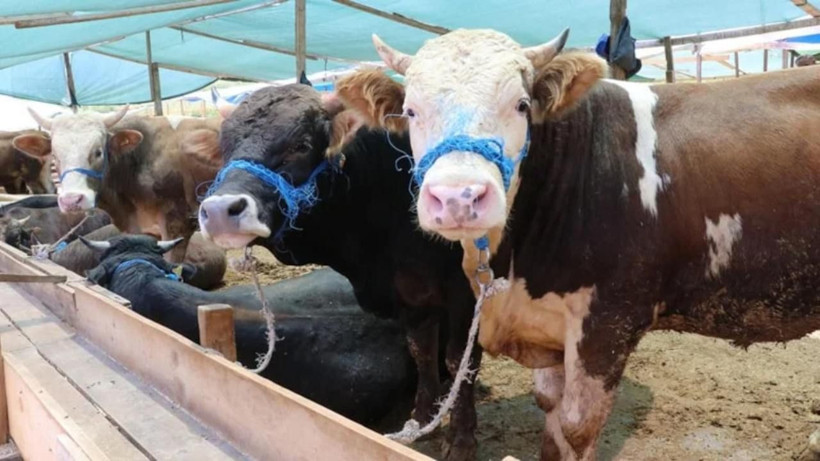 Kurban Bayramı'nda 'Sıfır Tolerans' dönemi: Kurallara uymayanı binlerce liralık ceza bekliyor - Resim: 9
