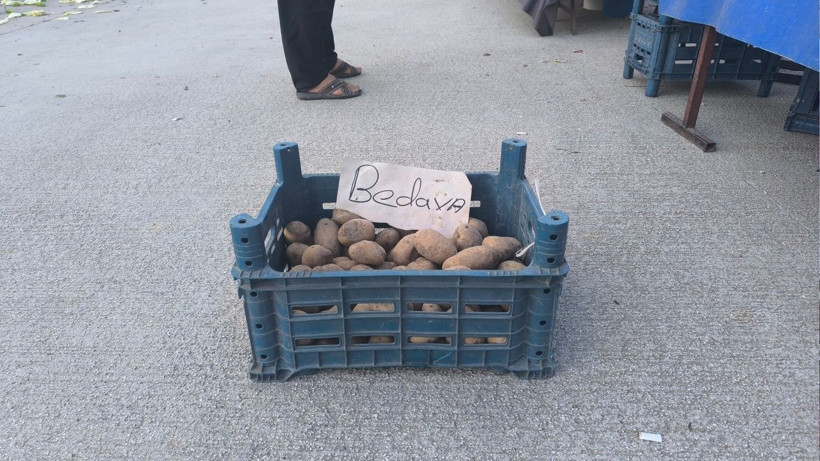 Vatandaş yerdeki sebze ve meyveleri topladı: Bu mu Türkiye Yüzyılı? - Resim: 8